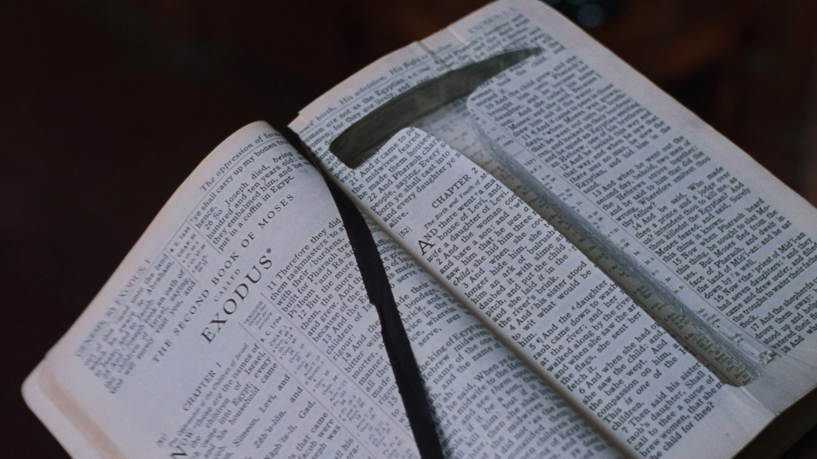 large picture of the cover